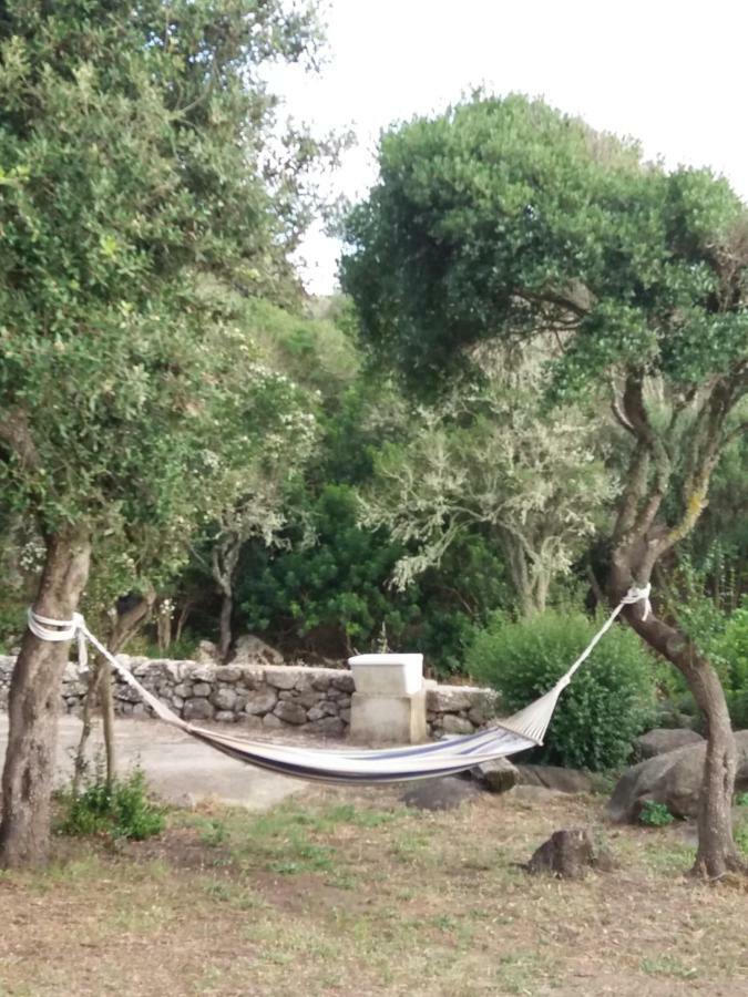 Casa Eleonora Βίλα Santa Teresa Gallura Εξωτερικό φωτογραφία